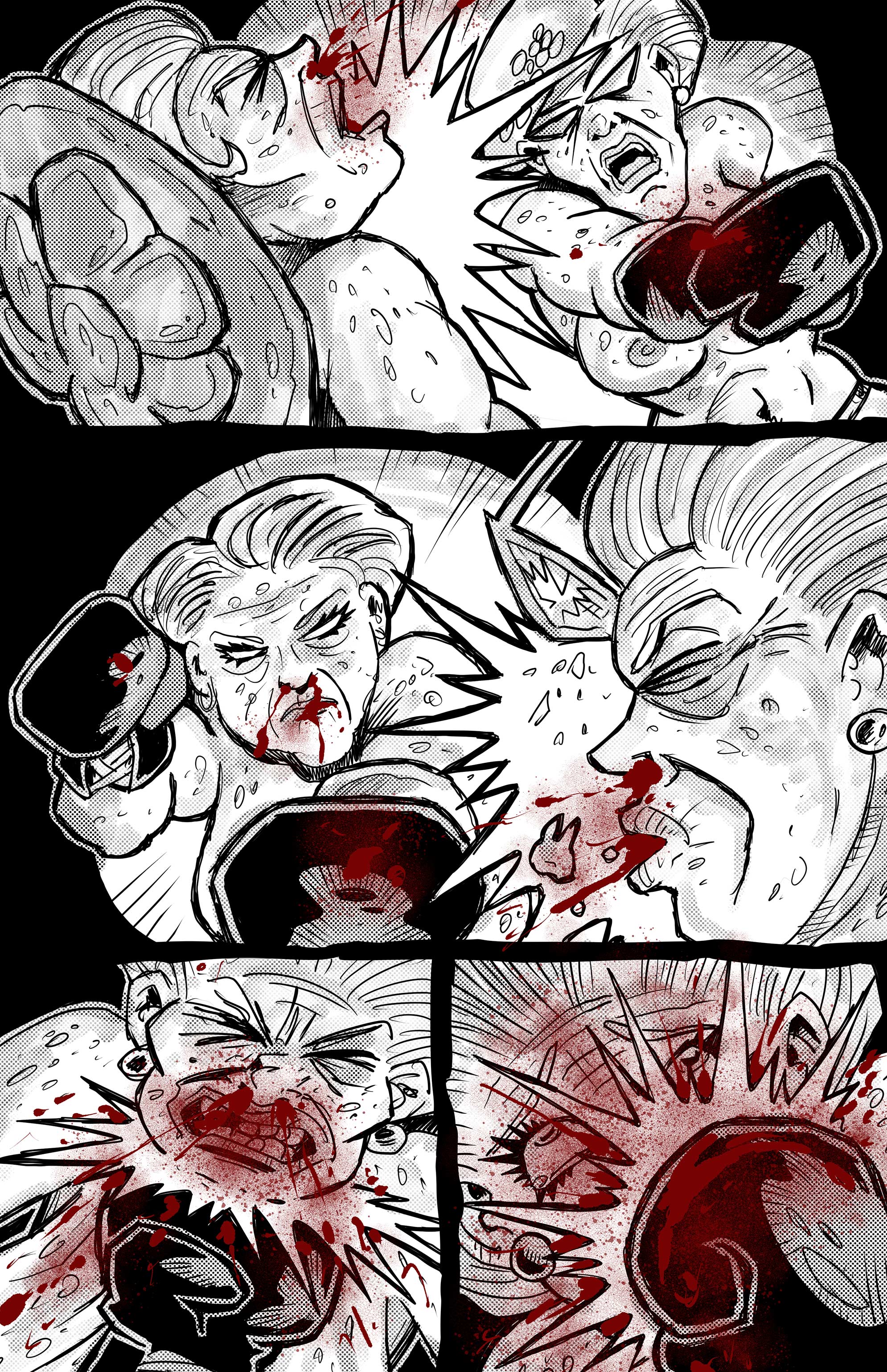 Indecent Conservative Ladies Engaging In Extreme Pugilism